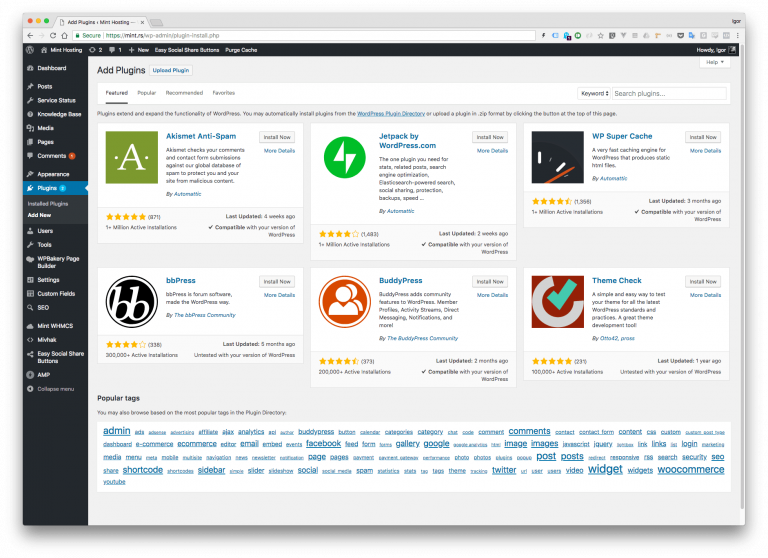 WordPress terminologija za početnike Mint Hosting