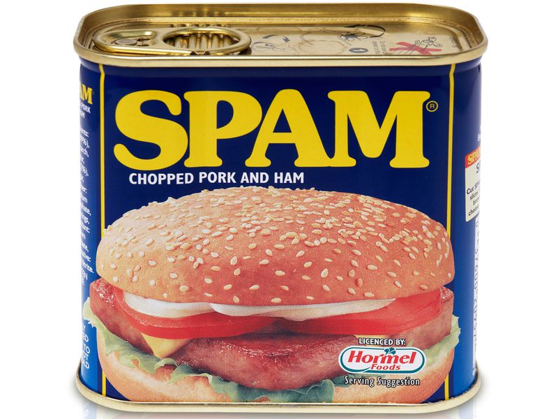 SPAM CAN